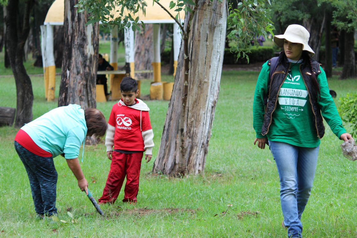 The Ozone Layer The Ozone Layer